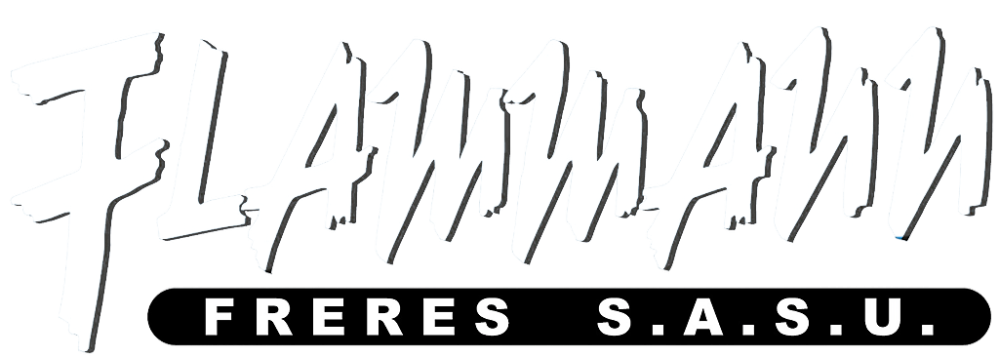 logo blanc